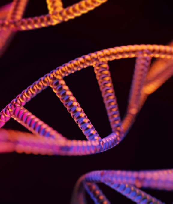 Close-up view of a DNA double helix structure with vibrant colors of pink, purple, and orange