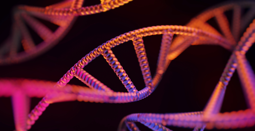 Close-up view of a DNA double helix structure with vibrant colors of pink, purple, and orange